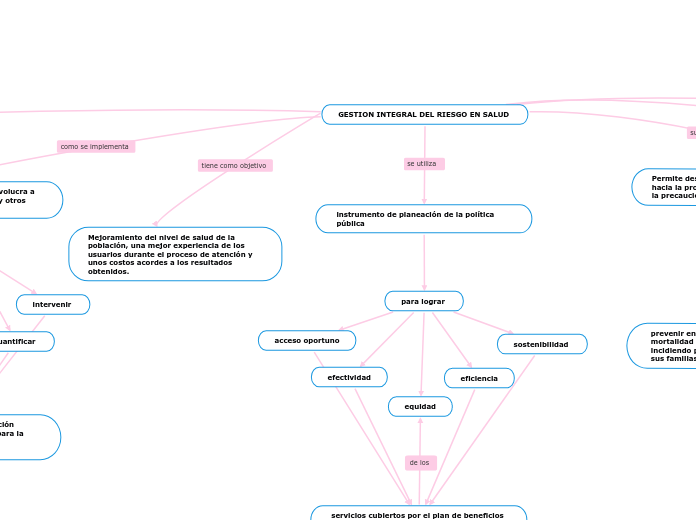 GESTION INTEGRAL DEL RIESGO EN SALUD Mindmap